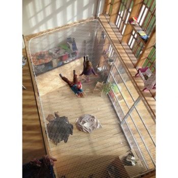 filet-mezzanine-suspendue-gnooss-cordage